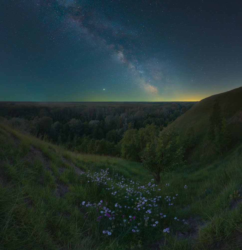 В летнюю ночь ..