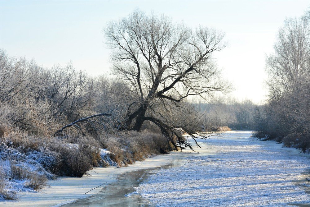 Photograph by Наталья Кошелева