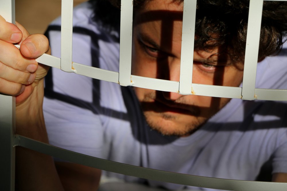 Фотография автора Silvia Tereza Ferrante de Lima