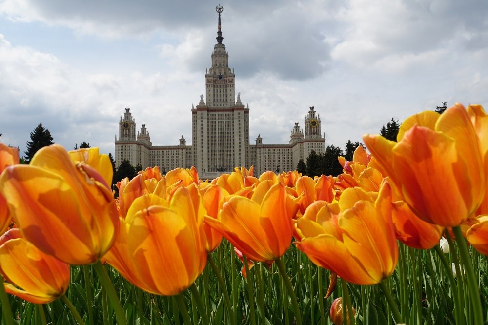 Московский государственный университет им. М.В. Ломоносова