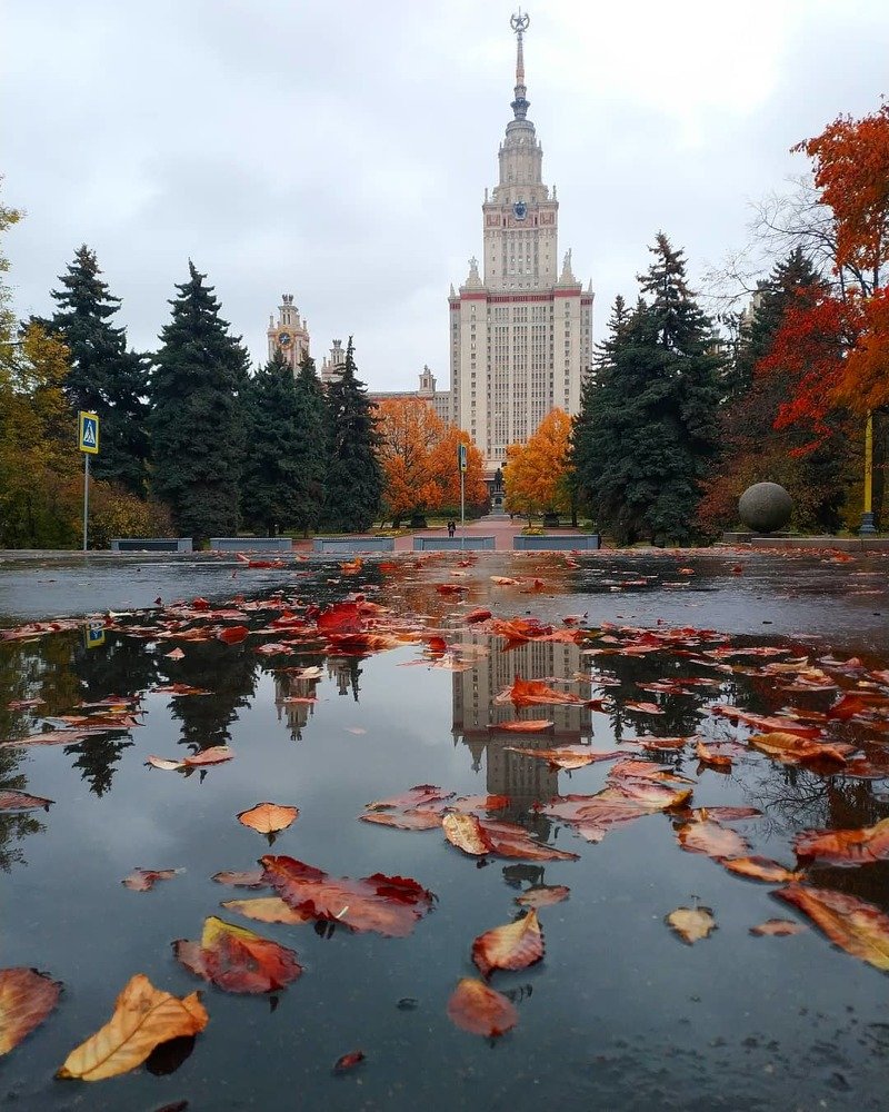 Московский государственный университет им. М.В. Ломоносова