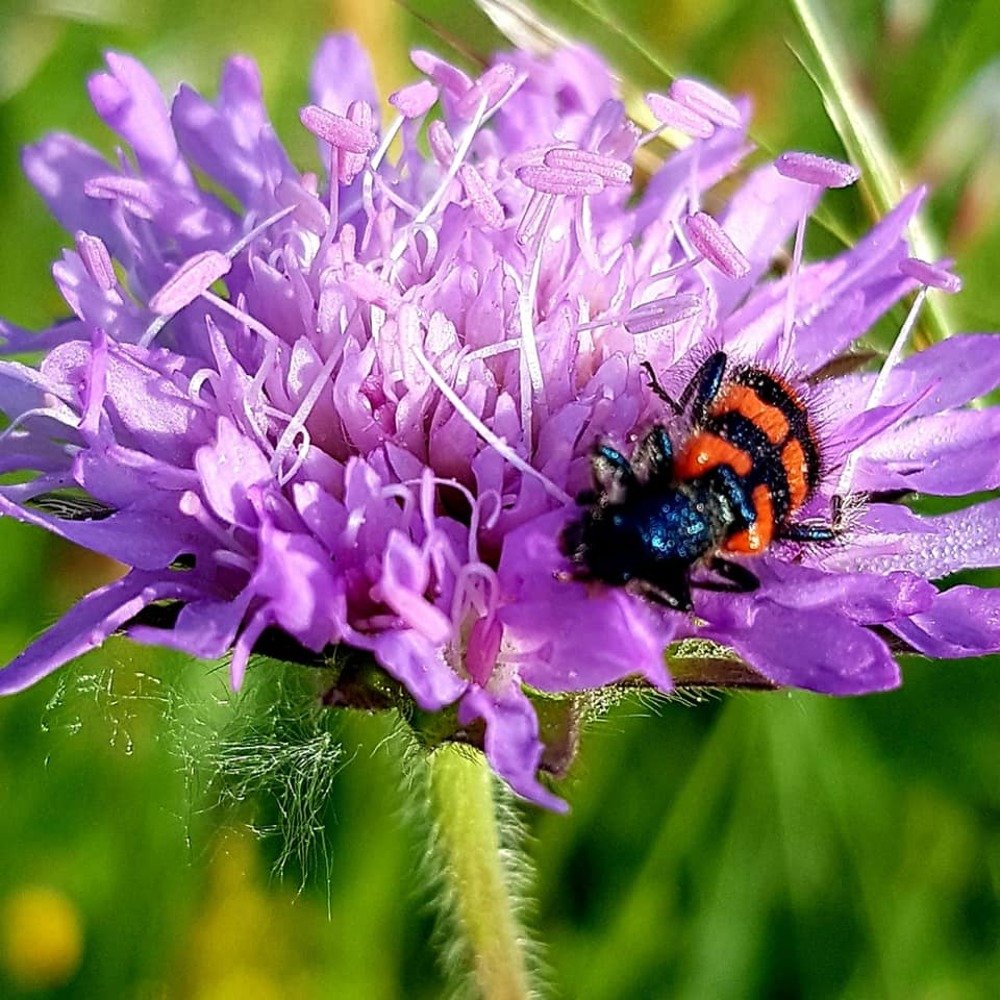 Фотография автора Kate Fontaine