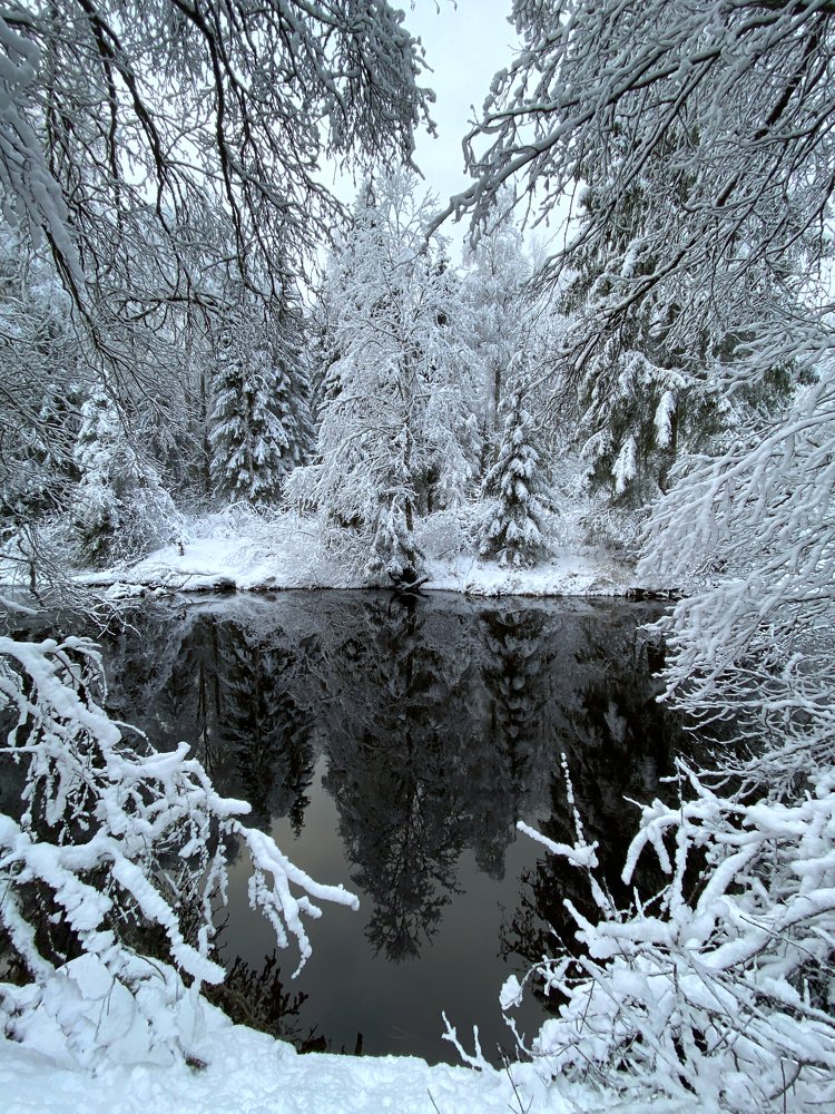 Photograph by Александра Морозова