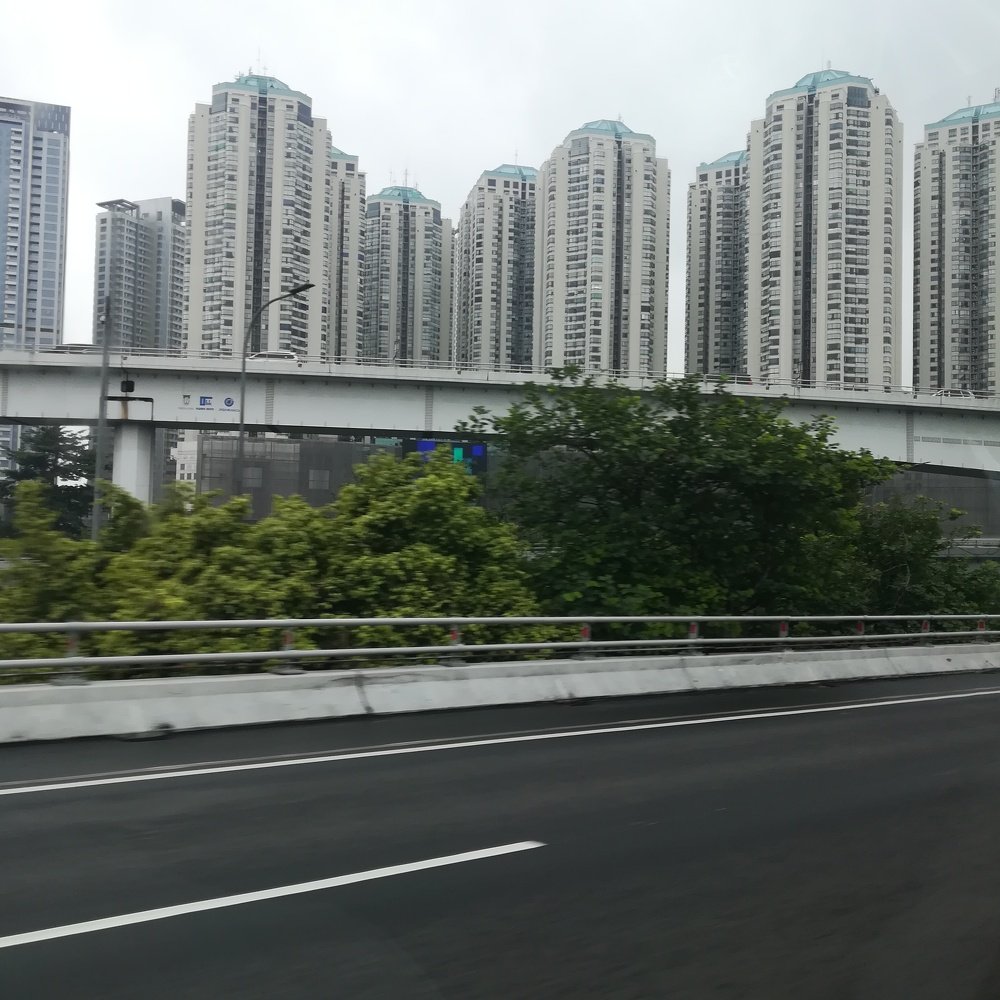 Photo #5524566