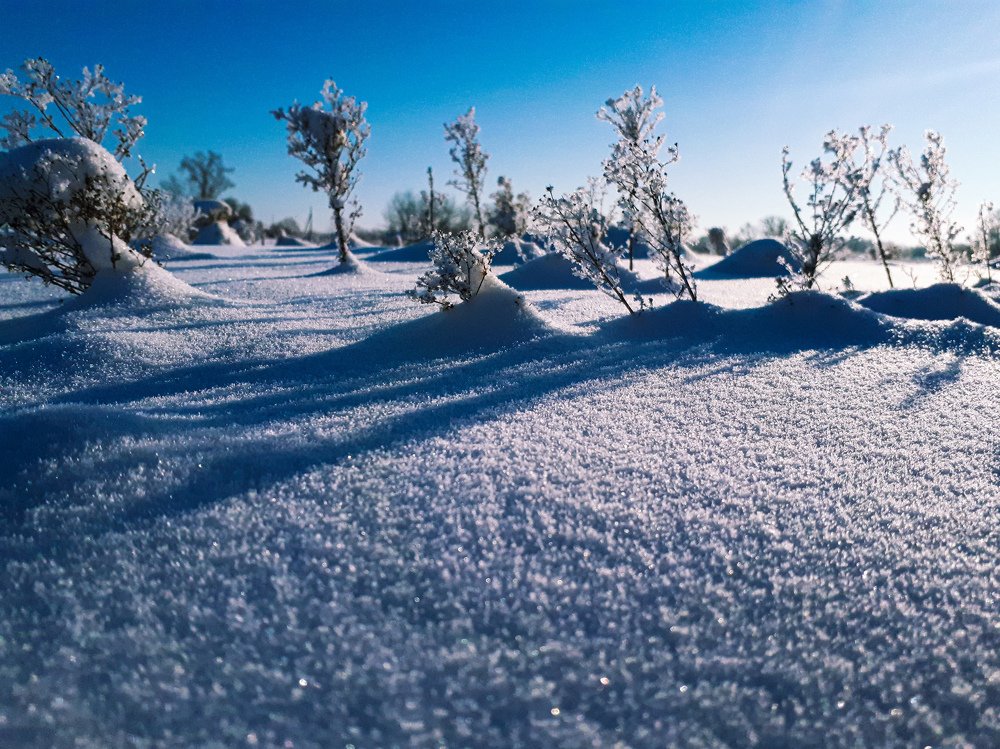 Photograph by Анна Кабиева
