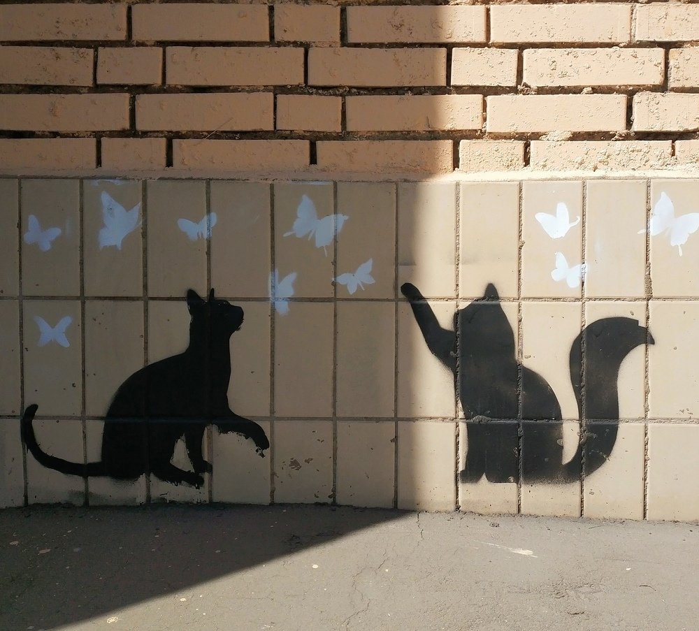 Мир света и тени