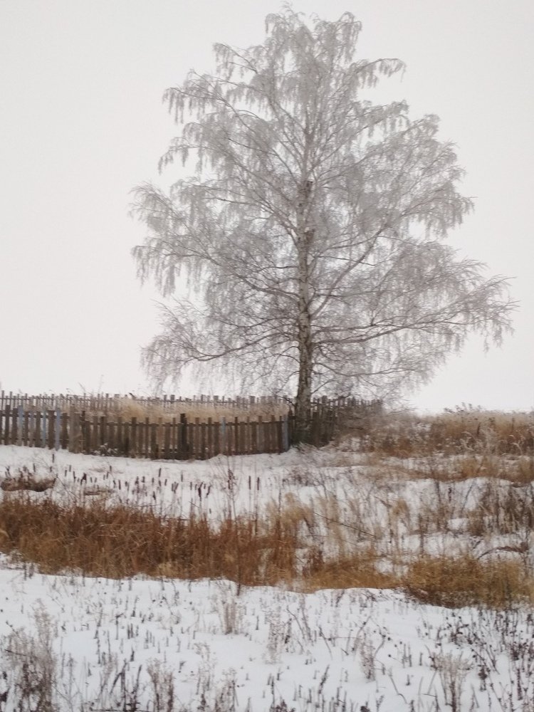 Photograph by Анна Тростянская