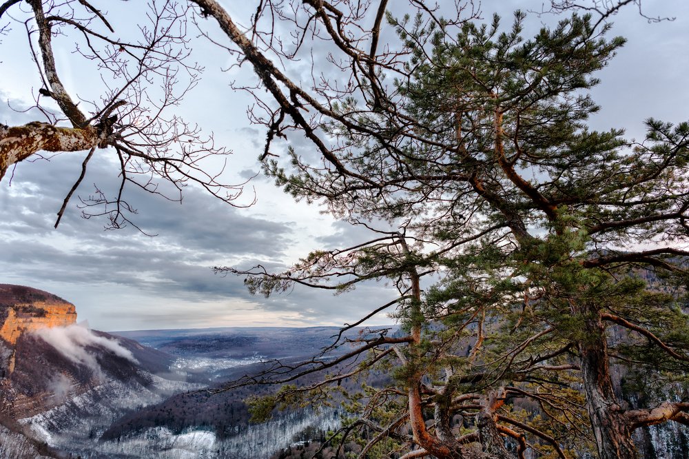 Photograph by Ирина Ульянова