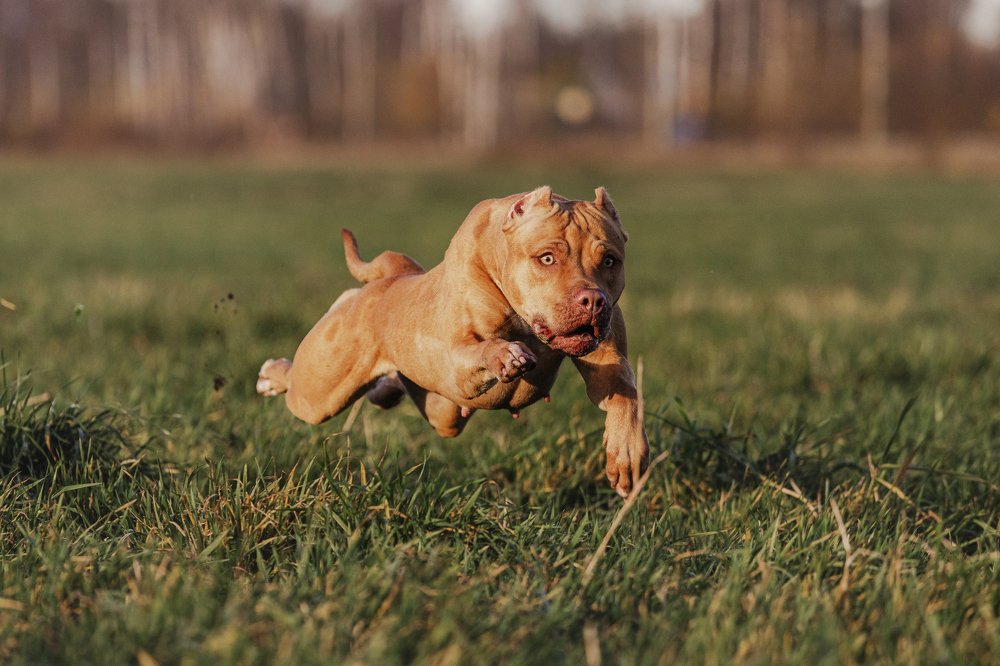 Photograph by Елена Левина