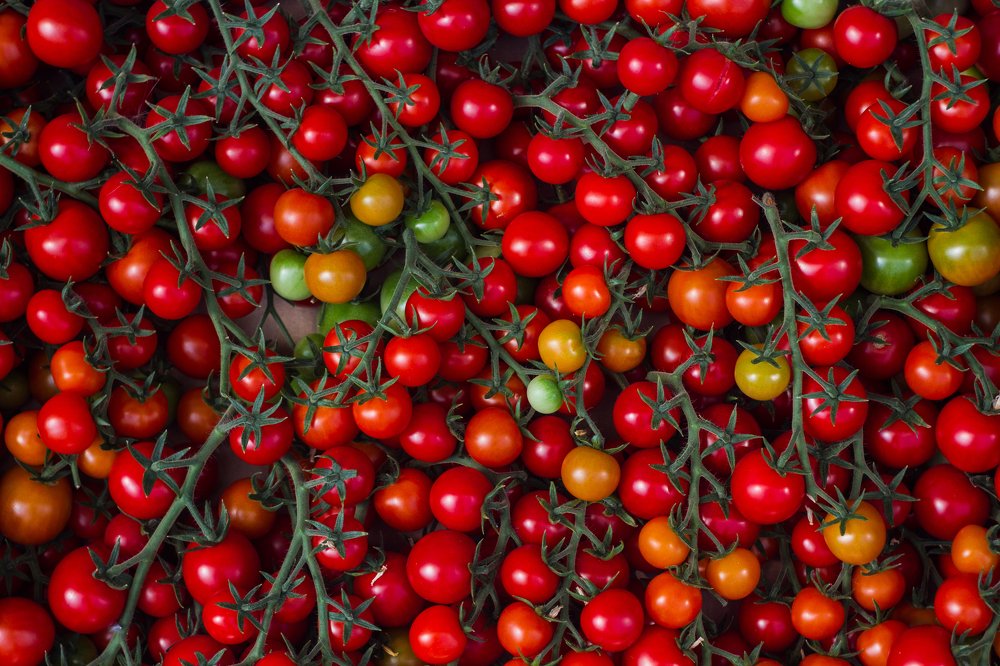 Photograph by Роман