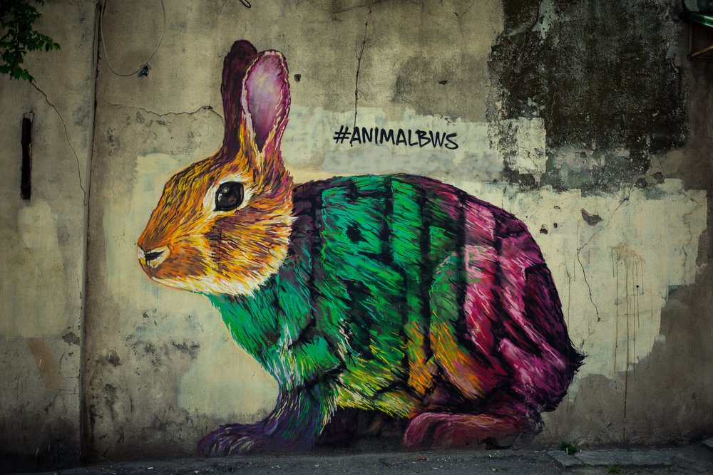 Photograph by Алексей Карпинчик