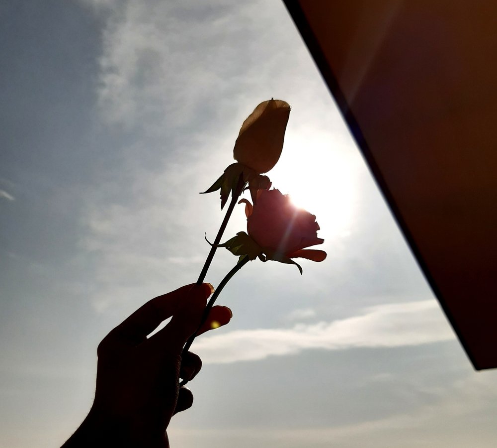 Фотография автора Behbood Afshar