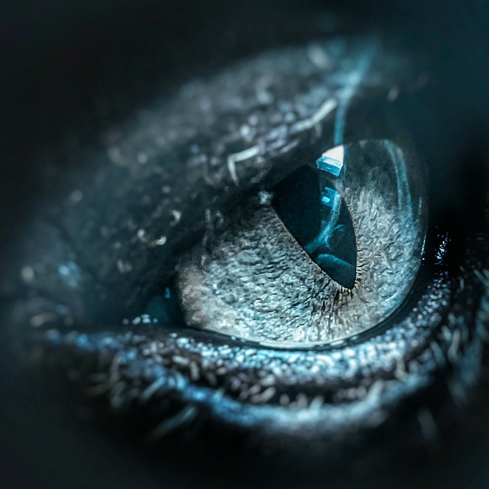 Кошачий глаз