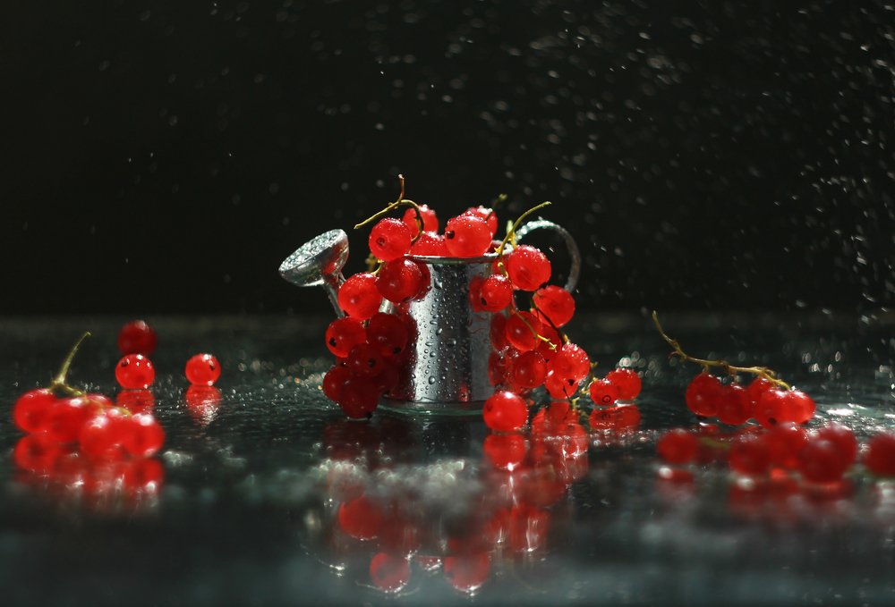 Photograph by Юлия Яремко