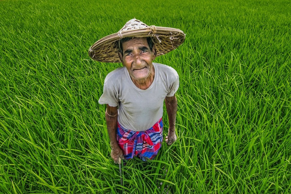 Photograph by Arindam Das