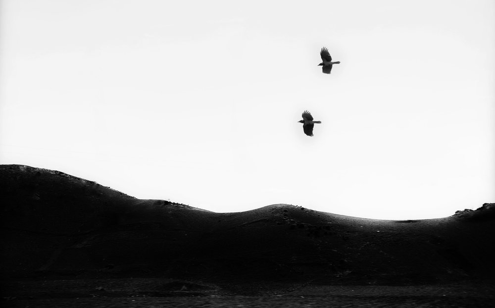 Photograph by Masoumeh Mahmoudi