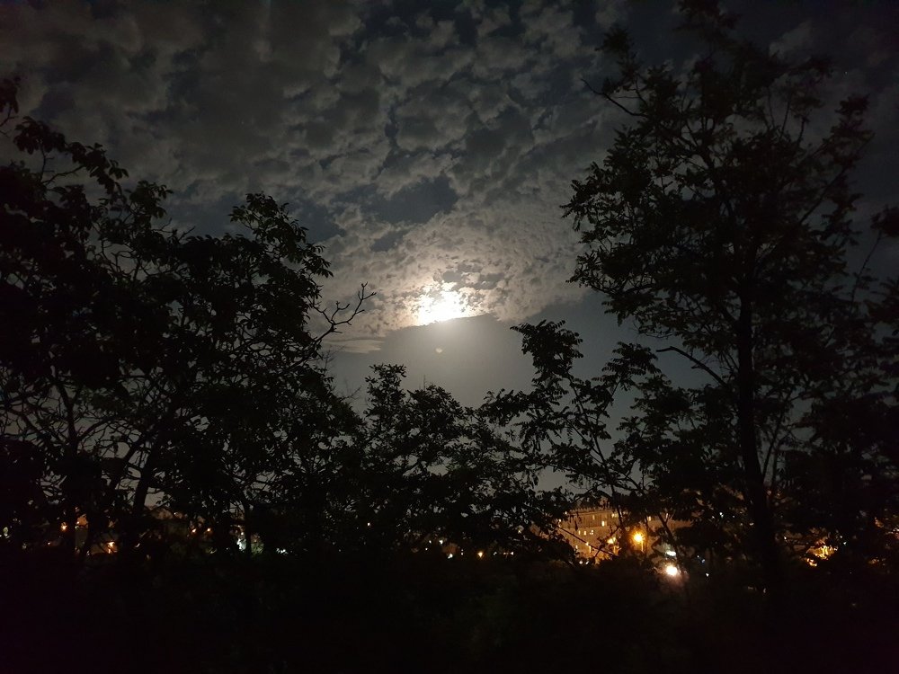 Photograph by Сергей Борисов