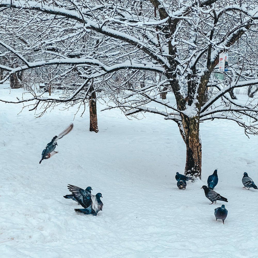 Photograph by Наталья Мальцева