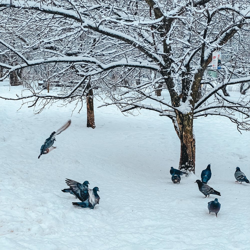 Photograph by Наталья Мальцева