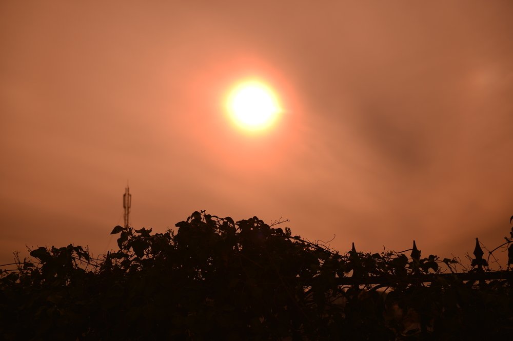 Photograph by Сергей Борисов