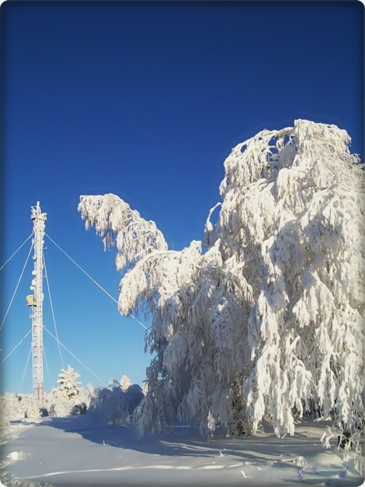Photograph by Наталья Соболева