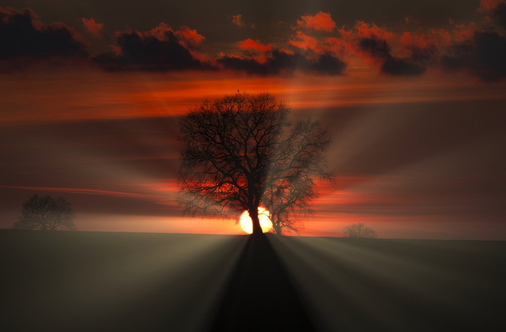 Перекрывая свет