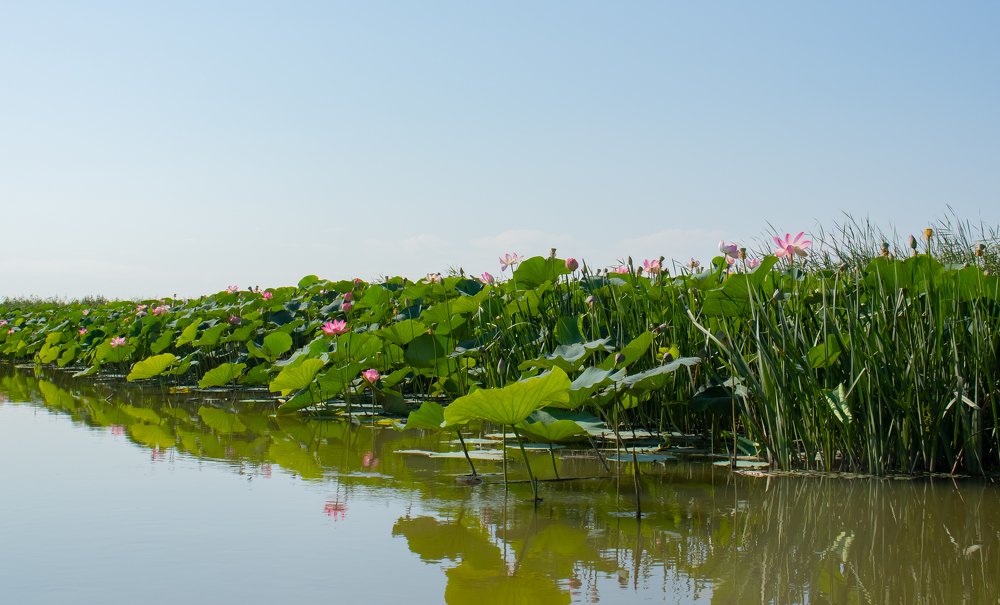 Photograph by Виктория Козинец