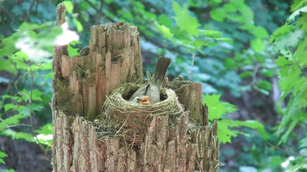 Photograph by Аlessandro