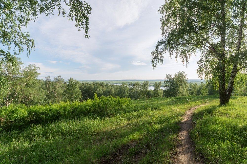 ТРОПИНКА НА ХОЛМЕ СРЕДИ ЗЕЛЁНОГО ЛЕСА