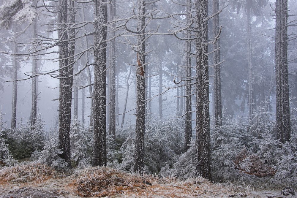 Photograph by Renata Łacina