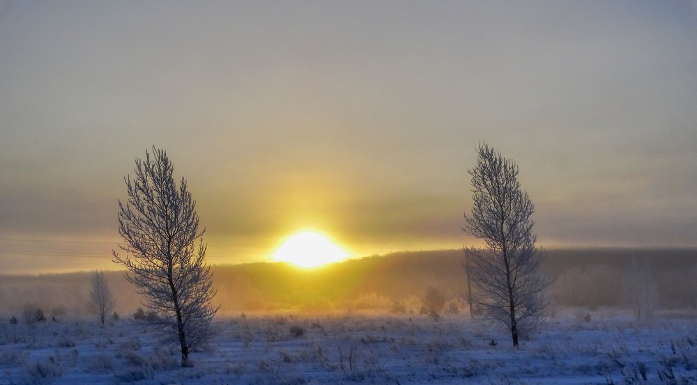 Photograph by Григорий Сергеевич