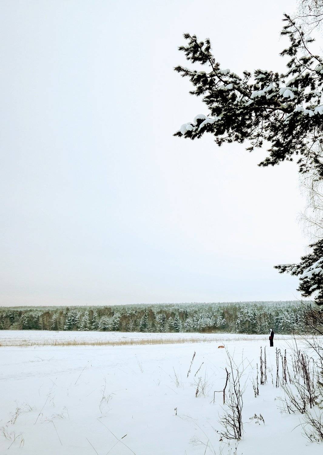 Прогулка