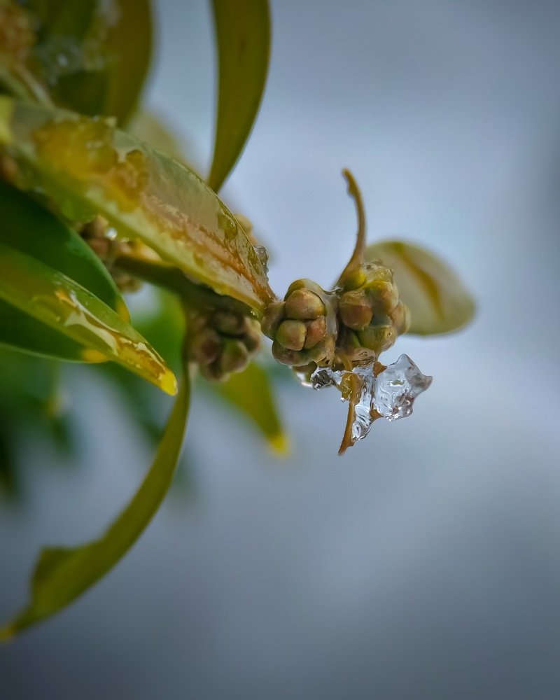 Пробуждение.