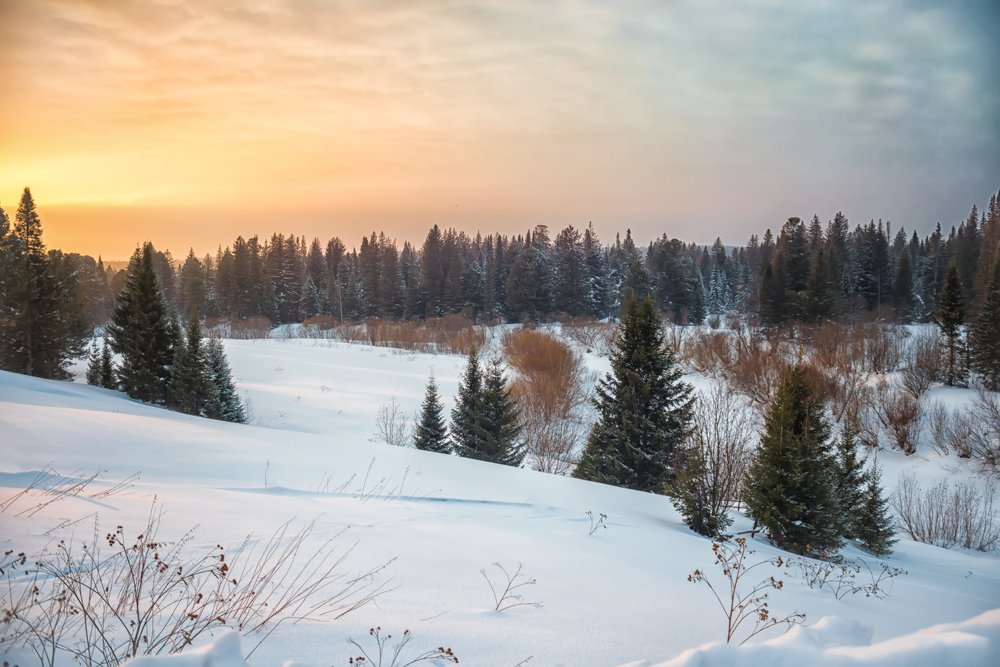 Photograph by Ильдар Шангараев