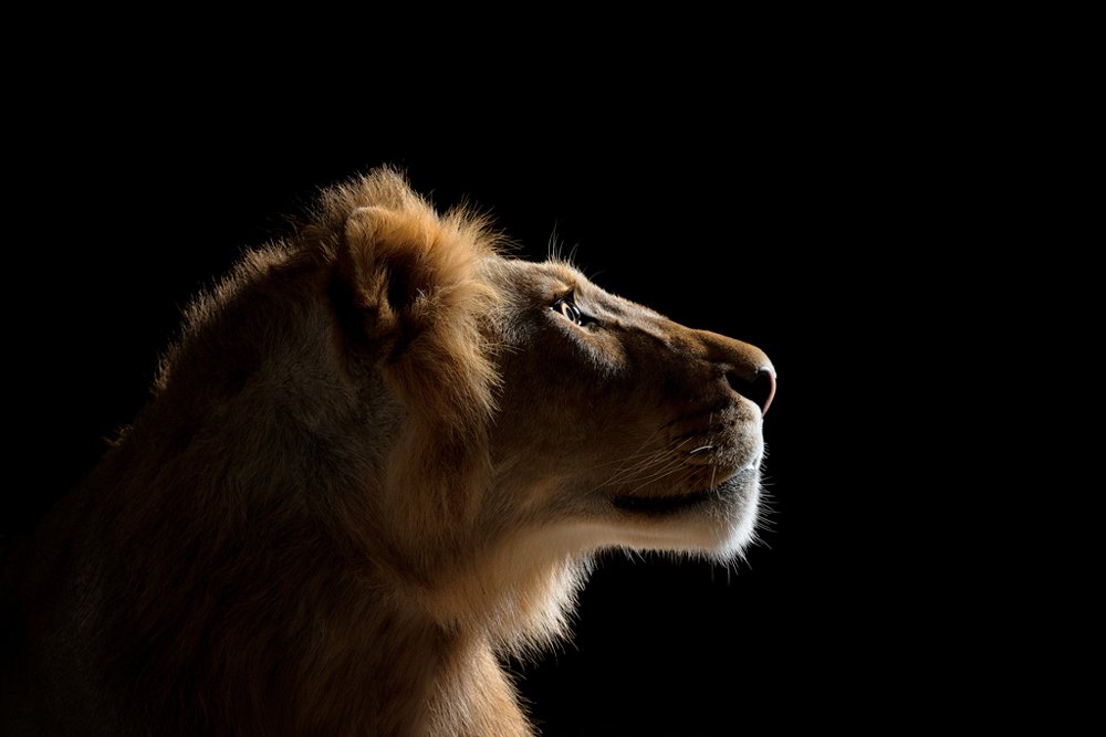 Photograph by Ghalib Hasnain