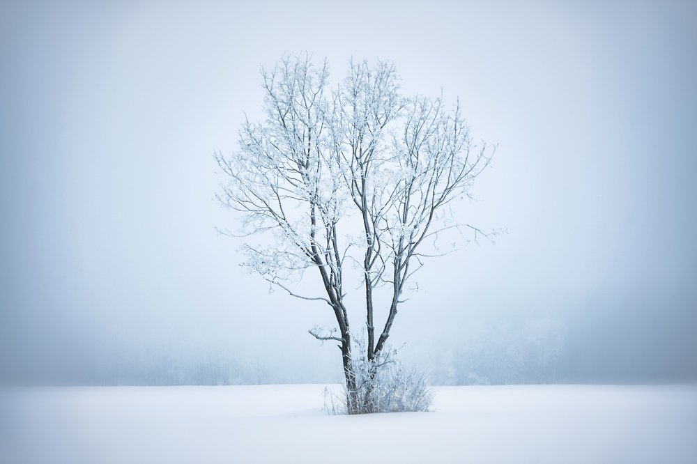 Photograph by Иван Кондырев