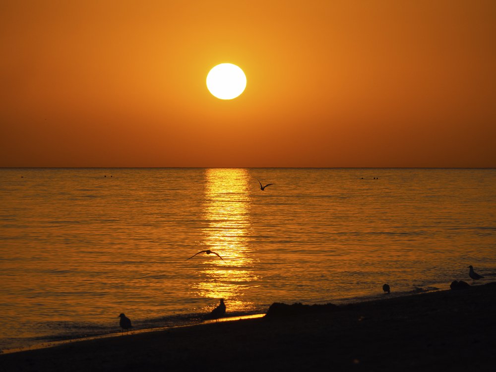 Фотография автора Александр Кротков