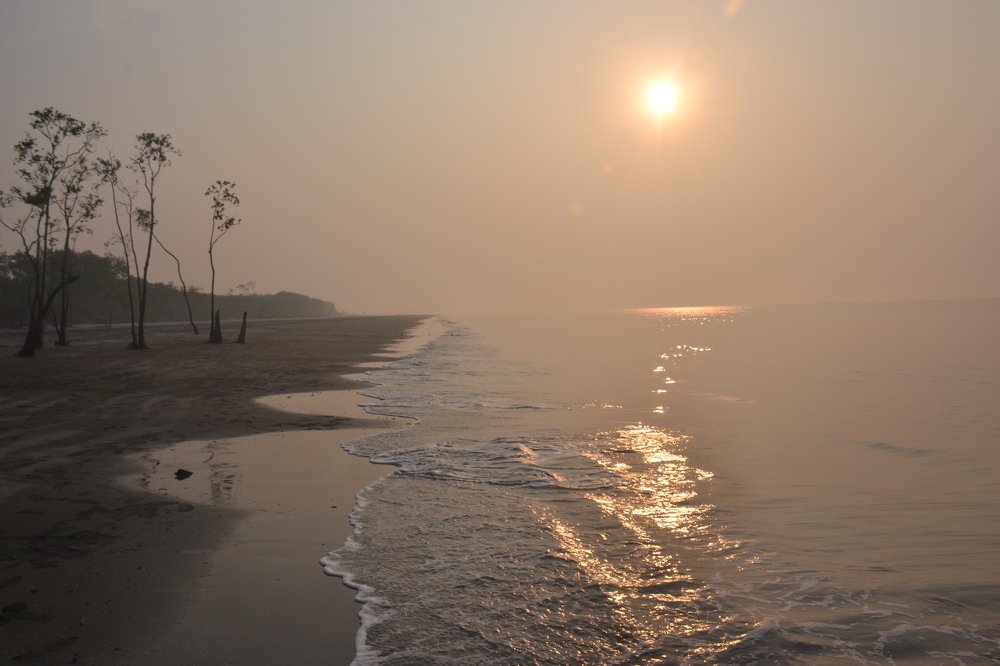 Photograph by Md. Faisal Sarder