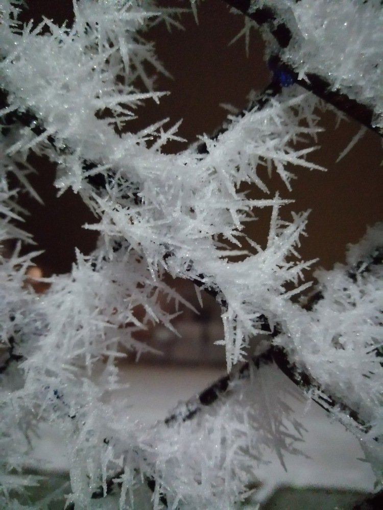 Photograph by Мила