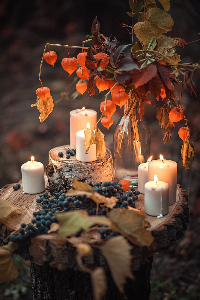 Photograph by Светлана Викторова