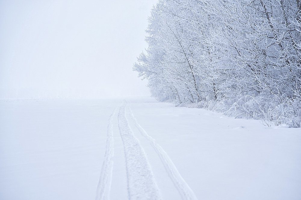 Photograph by Светлана Викторова