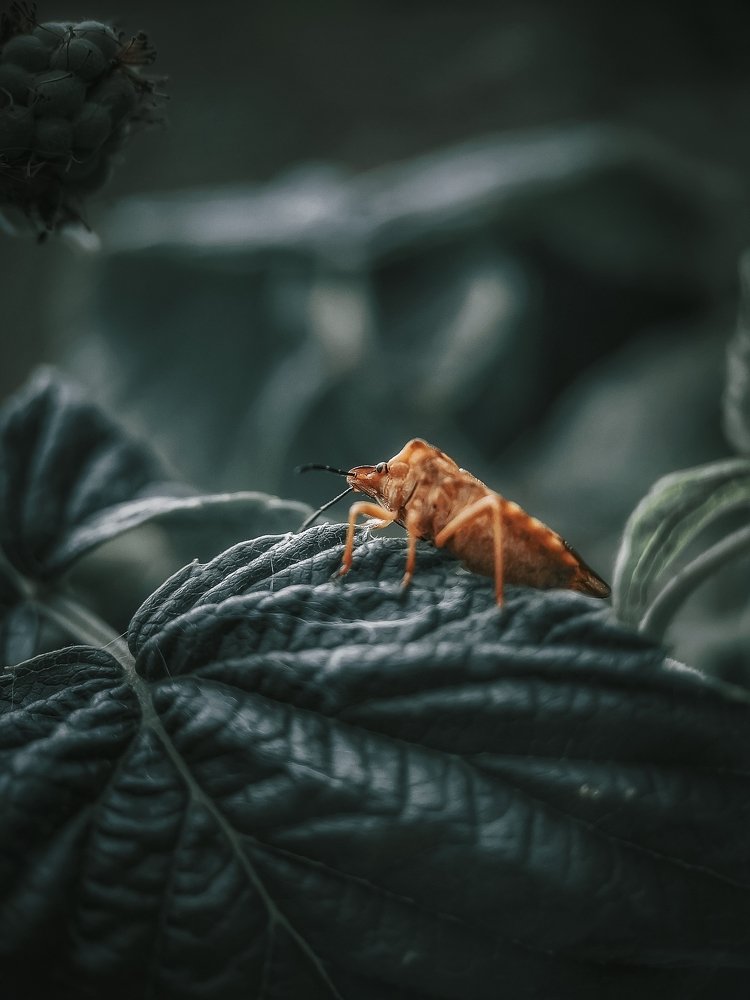 Photograph by Алексей