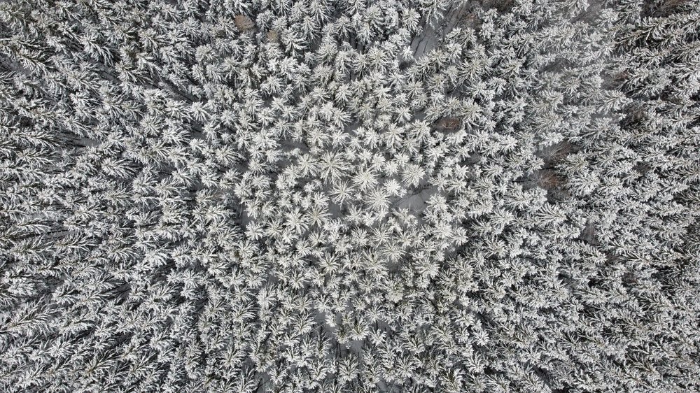 Фотография автора Коротков Алексей