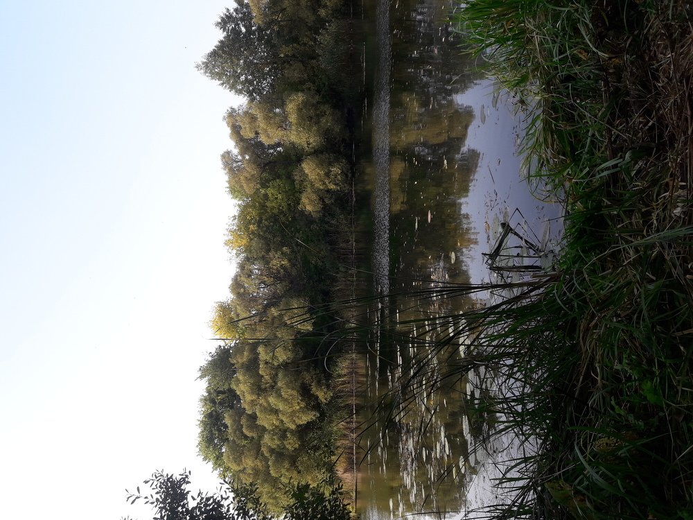 Photograph by Татьяна