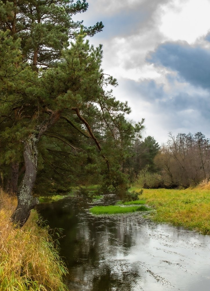 Photograph by Евгений Аношин