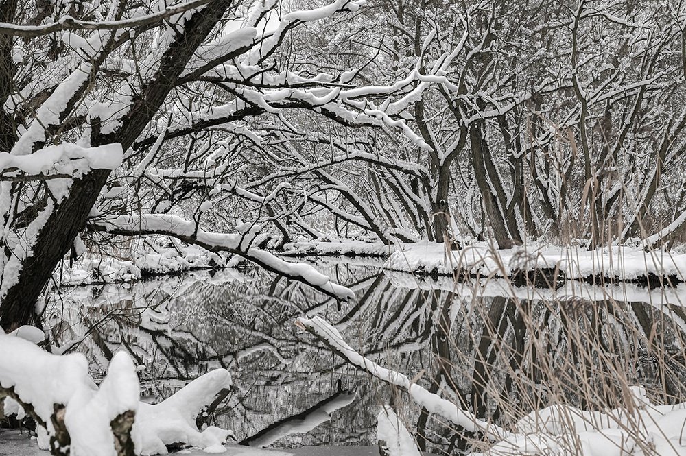 Photograph by Ольга