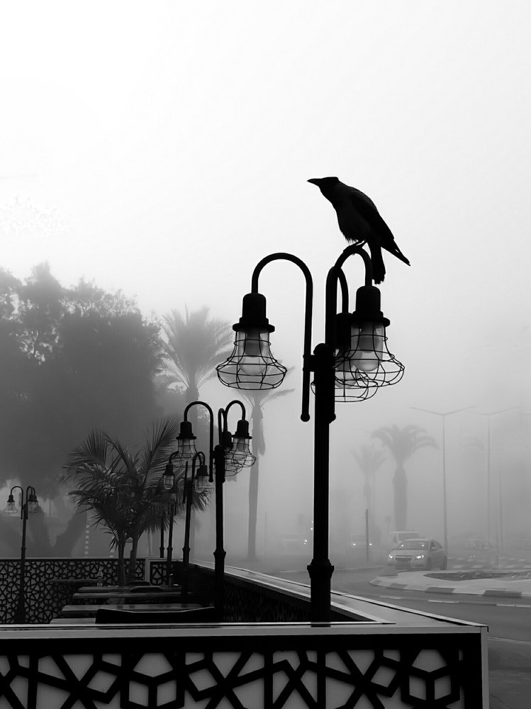 Photograph by Gitin Leonid