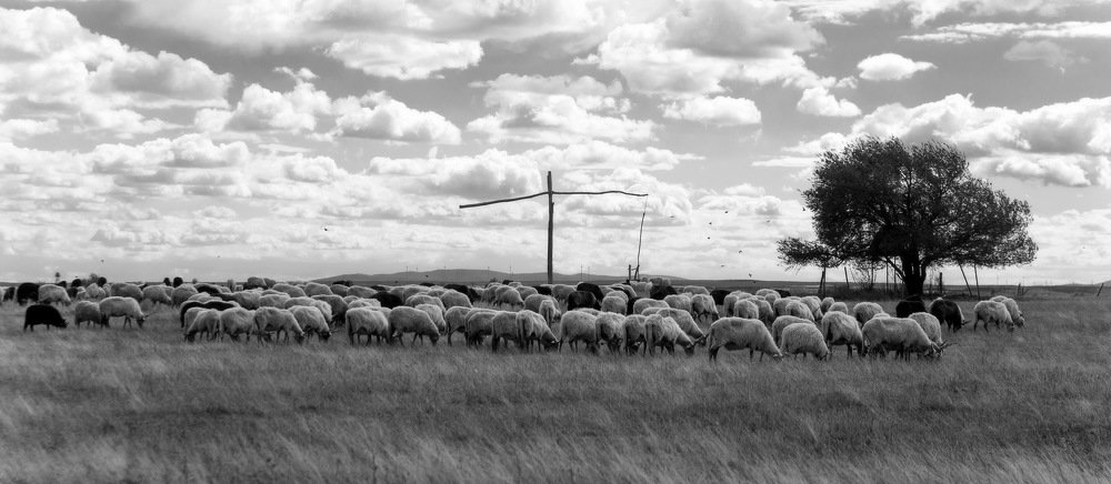 Photograph by Baranyai Balázs