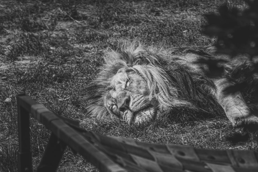 Photograph by Anna Lisovskaia