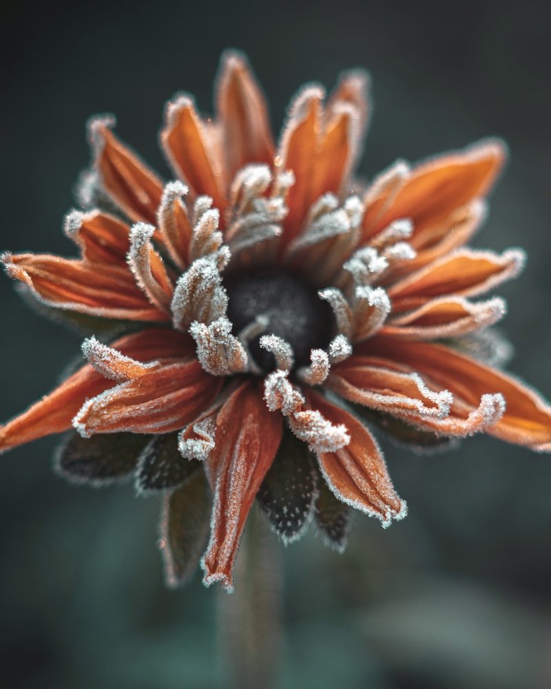 Photograph by Сергей Абраменков